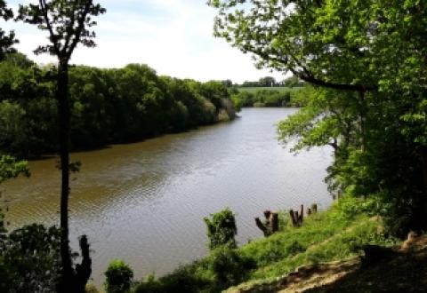 Parcours geocaching Le dragon de l'Etang de La Forge Martigné-Ferchaud