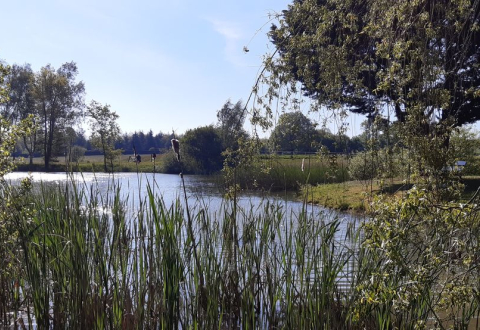 Crevin, au bord de l'étang