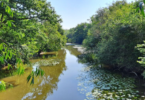 La Seiche depuis le parc des Monts Gaultier à Noyal-Châtillon-sur-Seiche