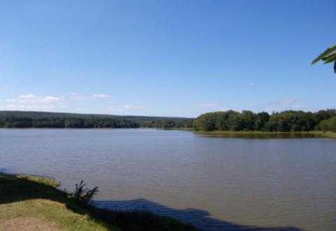 Les berges de l'étang de Paimpont en Brocéliande