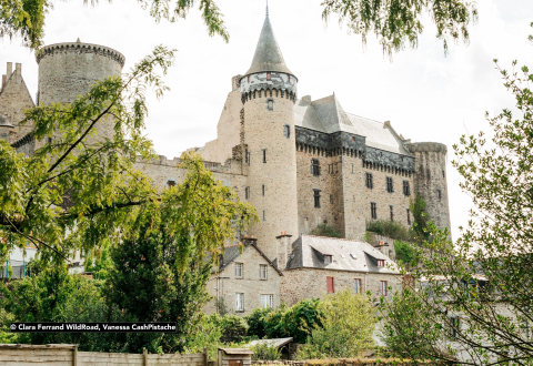 Château de Vitré, cache Dans les pas des barons de Vitré