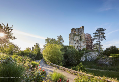 Vestiges du Château Saint-Aubin-du Cormier, cache Au fil de l'histoire