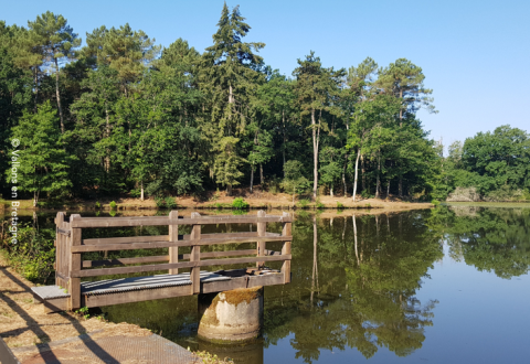 Etang de Bâron,Guipry-Messac