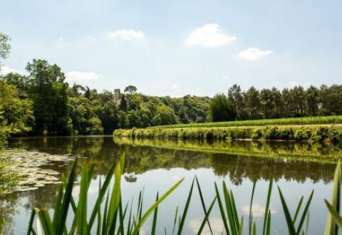 Le secret de La Vilaine, geocaching Trésors de Haute Bretagne
