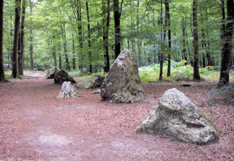 Fougères - Les Pierres des Druides
