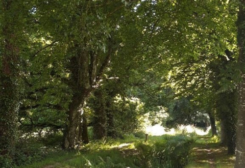 Trésors de Haute Bretagne, cache La rigole, rive droite, rive gauche