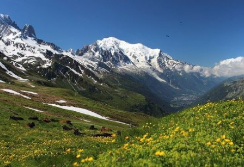 Trésors de Haute Bretagne geocaching cache le Mont blanc en Bretagne