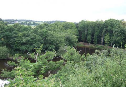 Sur les traces des Seigneurs de Montfort