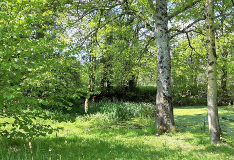 Trésors de Haute Bretagne, cache Servon-sur-Vilaine la nature sur un plateau