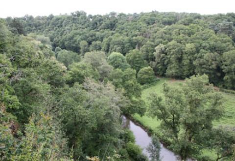 La Vallée du Couesnon